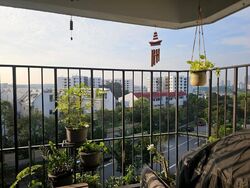 Mimosa Park (D28), Condominium #623010851